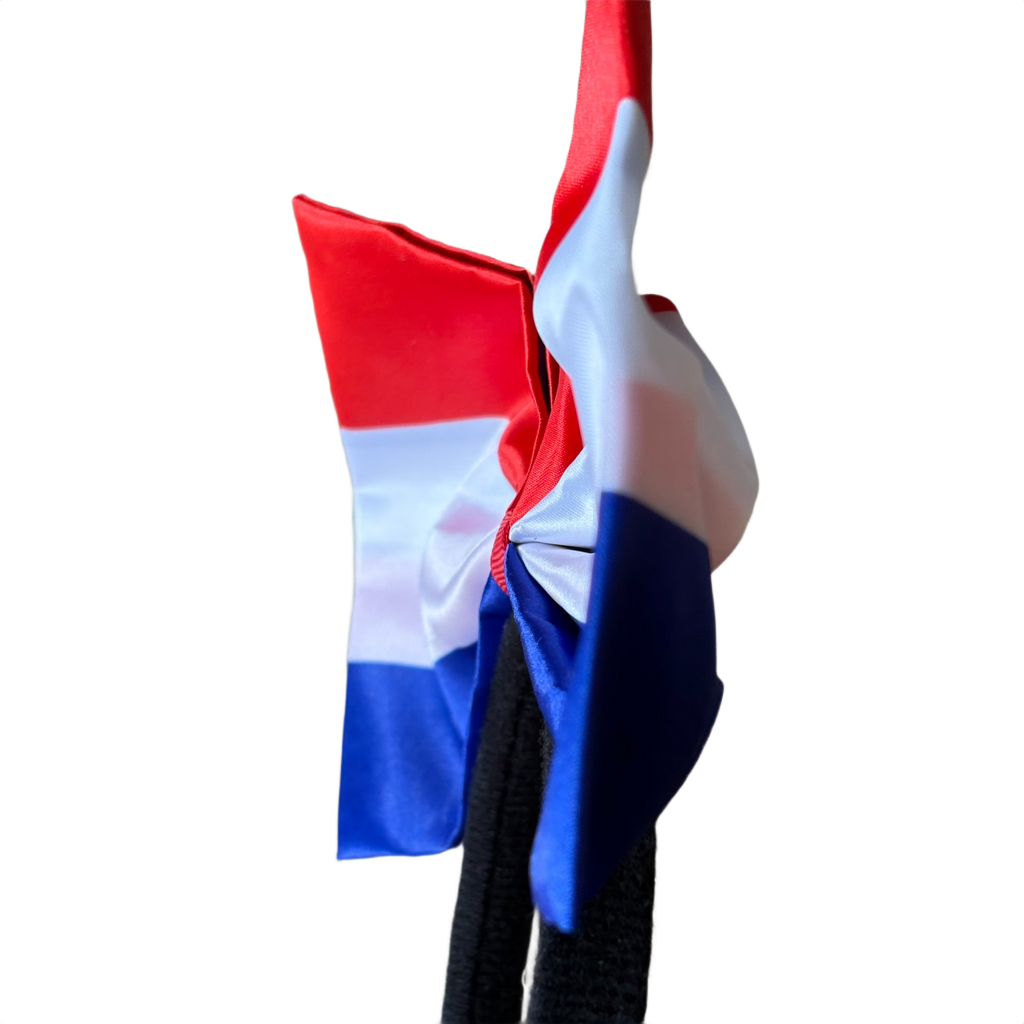 Close-up zijaanzicht van de strik met Nederlandse vlag op de diadeem, die de vorm en dikte toont