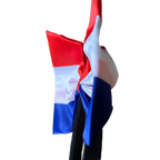 Close-up zijaanzicht van de strik met Nederlandse vlag op de diadeem, die de vorm en dikte toont